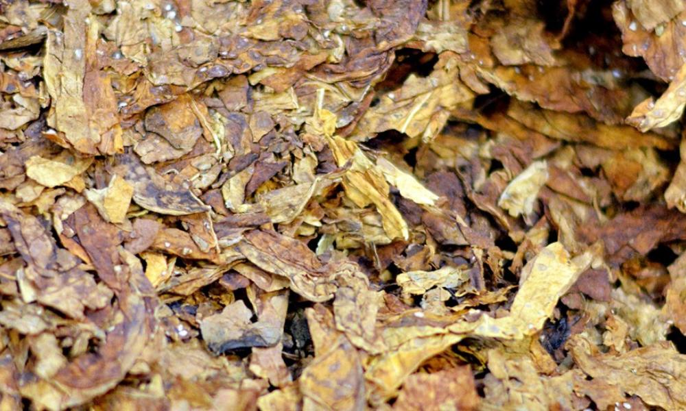 Scandinavian Tobacco Group Scandinavian Tobacco Group